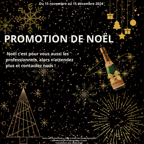 2411 PROMO DE NOEL